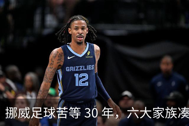 挪威足球苦等 30 年，六大家族凑世界杯主力，老国脚有啥绝招？