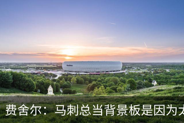 费舍尔：马刺总当背景板是因为太强了 同情刺蜜但他们也活该受着